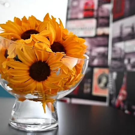 O Ninho Do Pinhal ホテル *