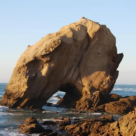 Hotel O Ninho Do Pinhal Bombardeira