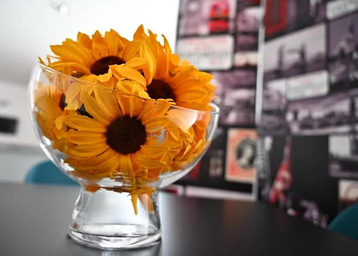 O Ninho Do Pinhal Hotel *